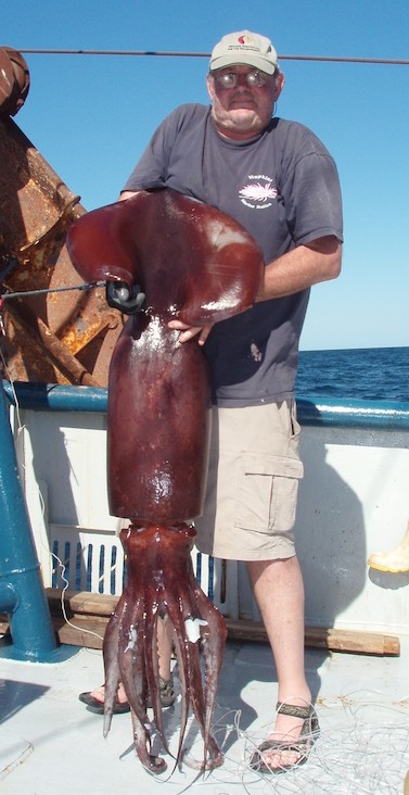 pre-2010gillysquid.jpg - 78kB