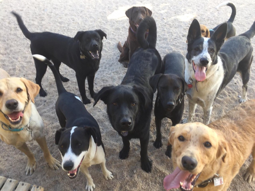 7ebd0bde-647e-4b18-acb4-fed61c63c7ad.jpg - 233kB