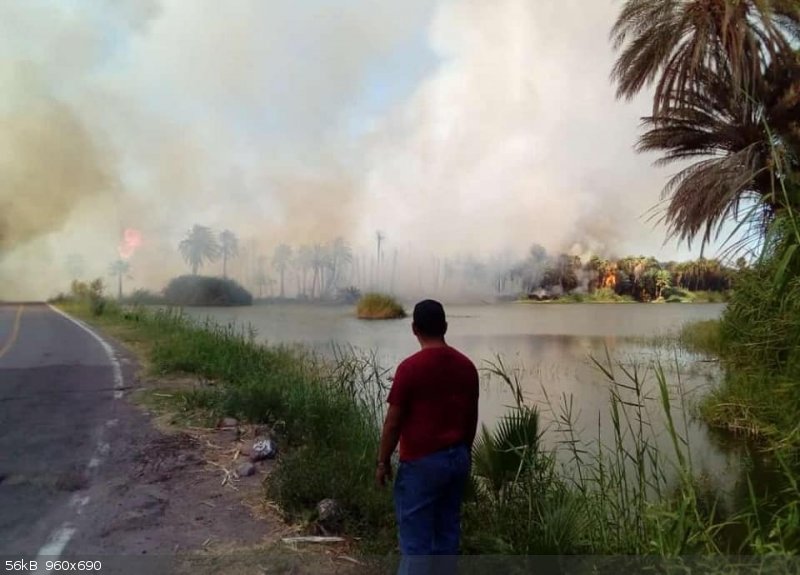 fire 68467199_2416946805050950_9107476858382843904_n.jpg - 56kB