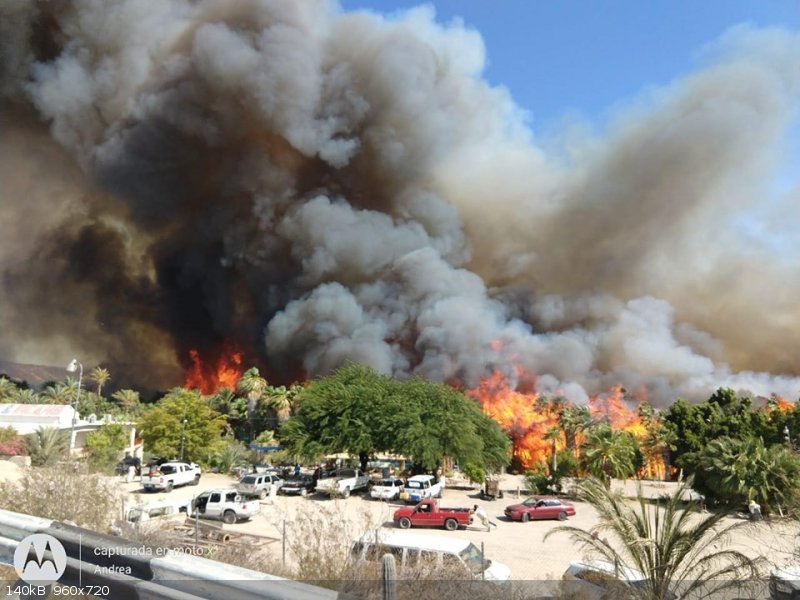 fire 68968710_1406129969535268_554613924410949632_n.jpg - 140kB