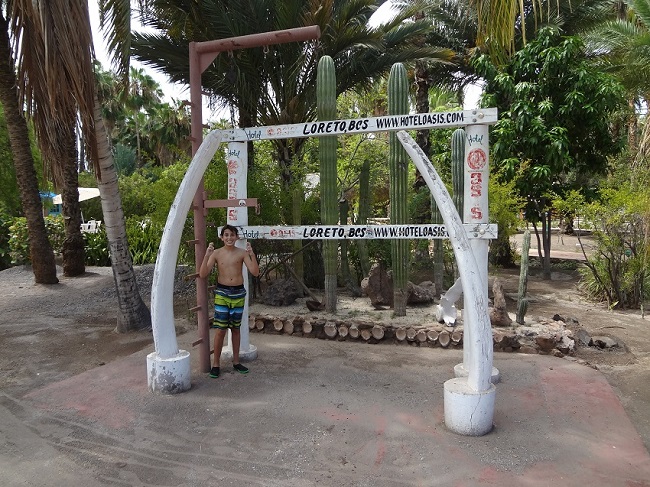 loreto baja 2019 012.JPG - 234kB