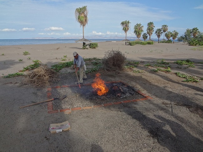 loreto baja 2019 021.JPG - 184kB