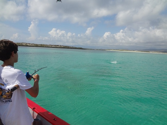 loreto baja 2019 041.JPG - 134kB