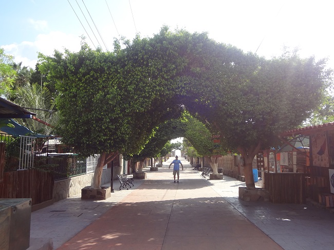 loreto baja 2019 060.JPG - 174kB