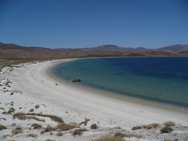 sandy beach 10 (640x480).jpg - 156kB