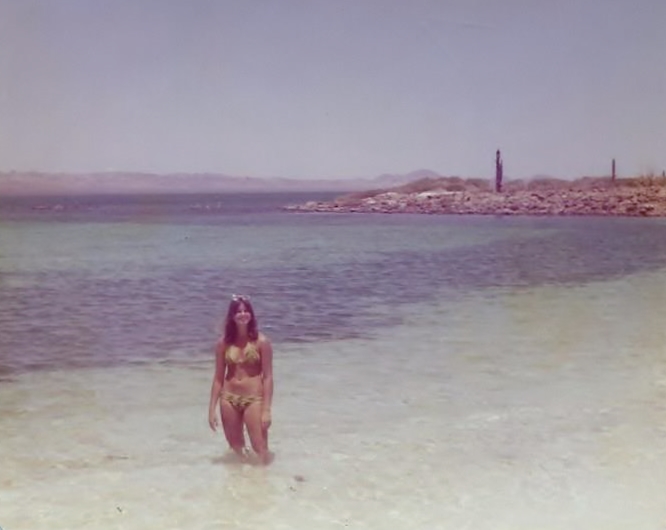 Scan0505.jpg - 146kB