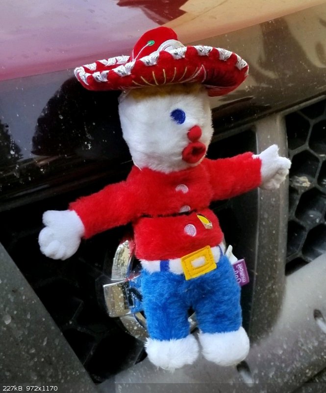 Mr. Bills in Los Cabos 2.jpg - 227kB
