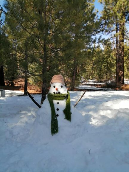 snowA.jpg - 55kB