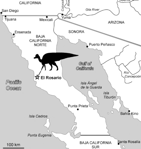 Dinasaur Map.jpg - 142kB