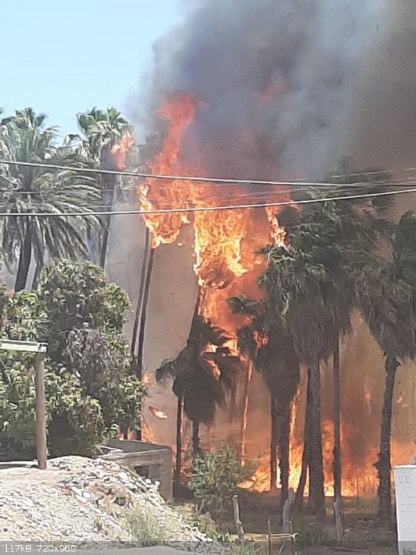 Mulege fire 2020.jpg - 117kB