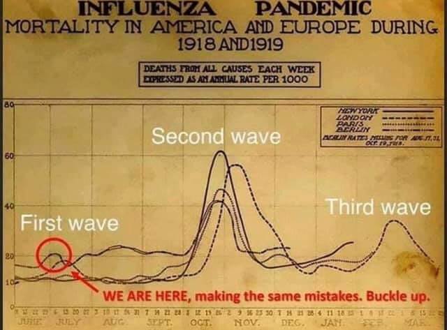 1918 pandemic waves.jpg - 38kB