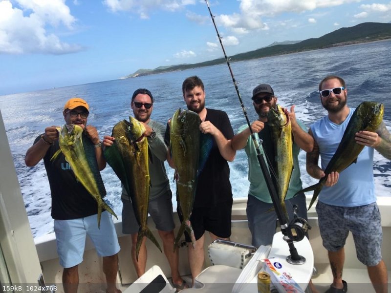 Dorado sept 20 2020.jpg - 159kB