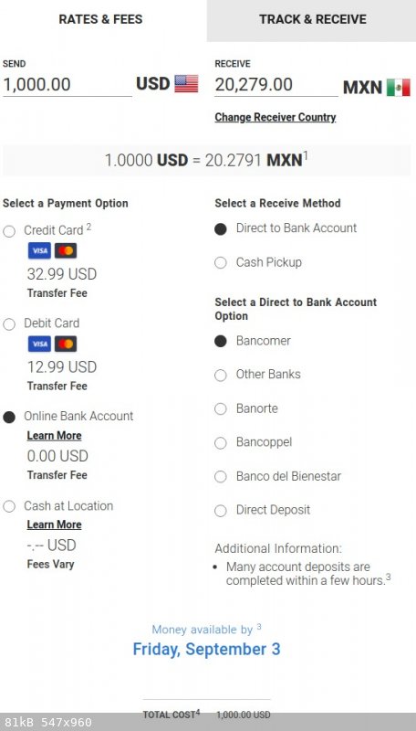moneygramcom.jpg - 81kB