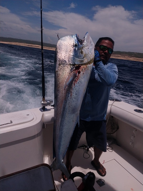 Big Bull 9 1 2021.jpg - 150kB