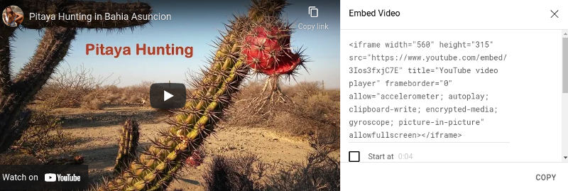 video-embed-width-height.jpg - 57kB