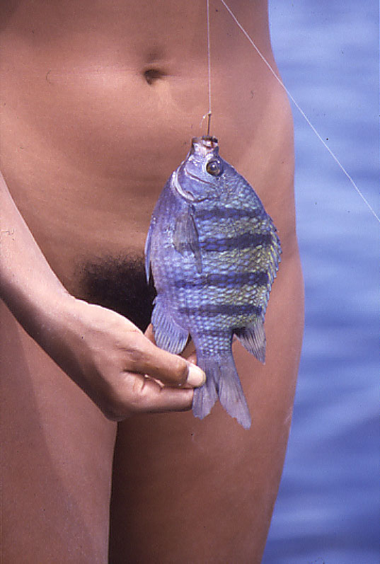 baja_sylvia_fish.jpeg - 79kB