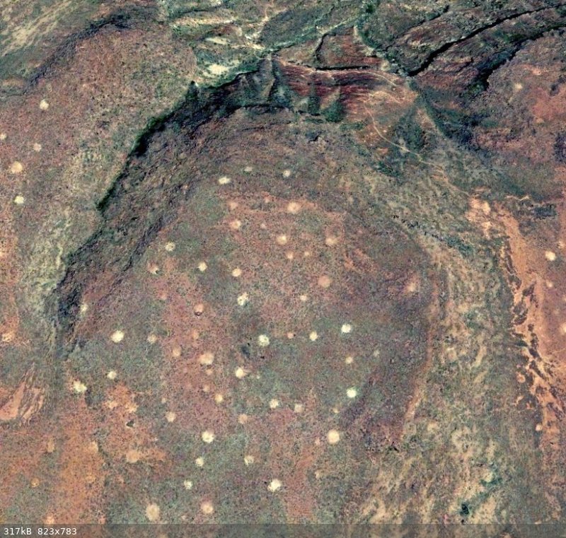 fairy circle.jpg - 317kB