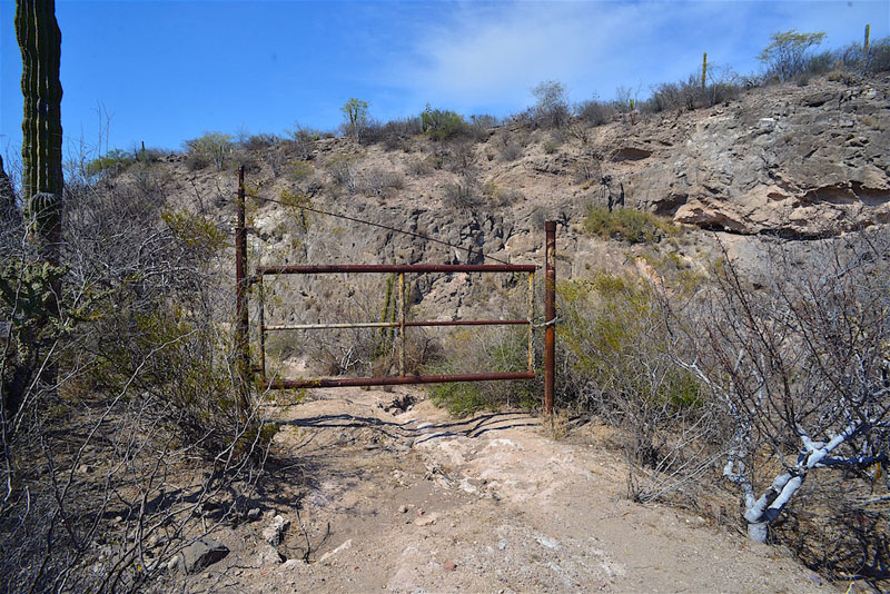 moreno grave.jpg - 203kB