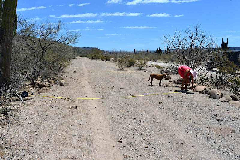 Sama, Gabriela Meche measuring road width .jpg - 153kB