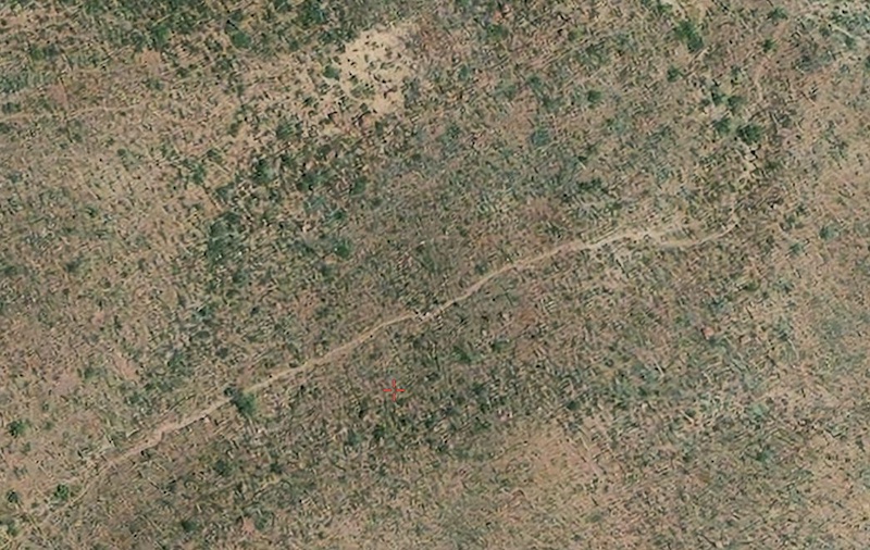trail.jpg - 222kB