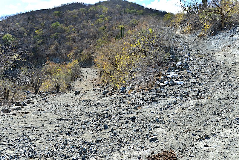 DSC_7365 rock blocking road 800.jpg - 250kB