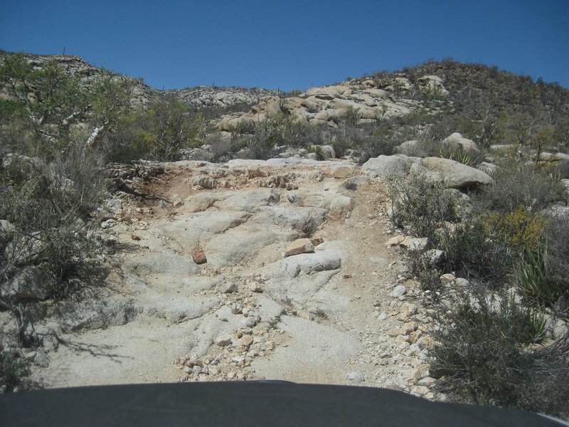 IMG-7822.jpeg - 130kB