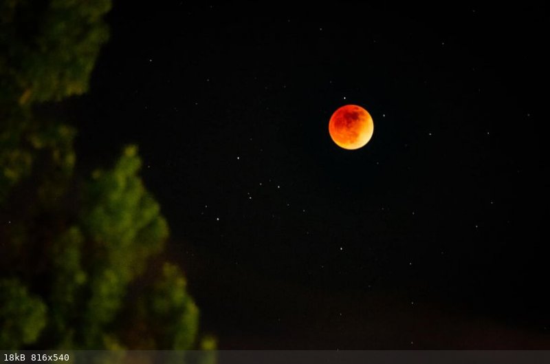 Lunar eclipse May 15, 2022.jpg - 18kB