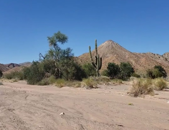 Volcano shape hill San Felipe.jpg - 183kB