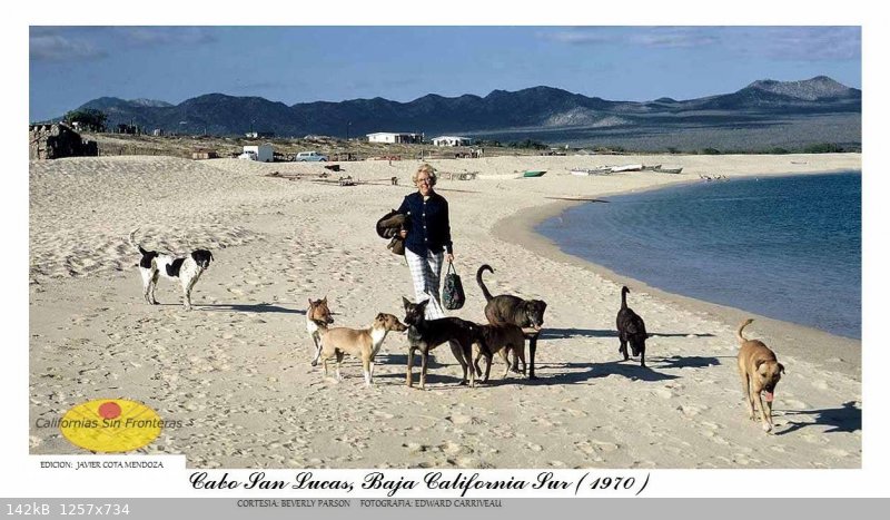 happy baja dogs 1970 cabo san lucas.jpg - 142kB