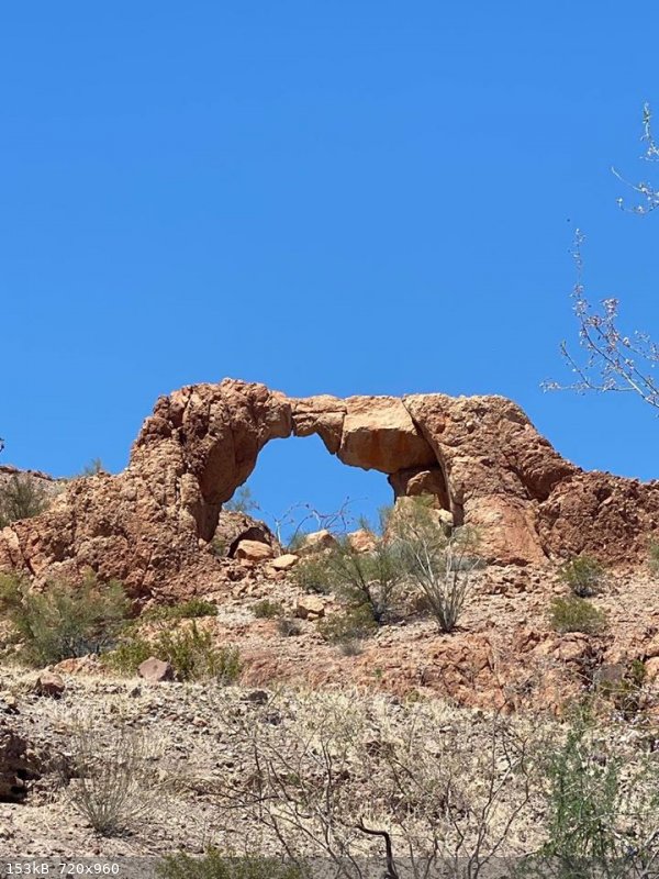 Arch 5-15-20.jpg - 153kB
