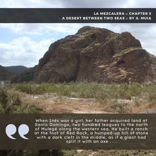 La Mezcalera graphic4.jpg - 67kB