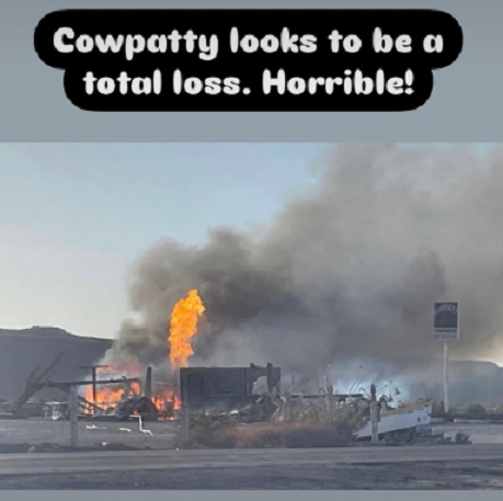 Cowpatty.jpg - 49kB
