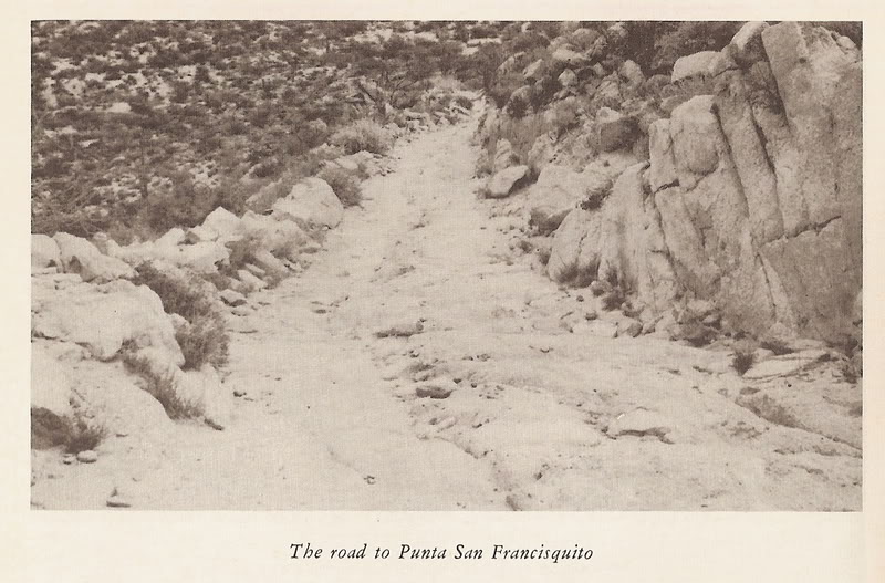 1962Cuesta.jpg - 95kB