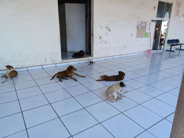 20241126_080918-scaled.jpg - 258kB