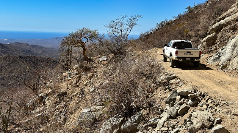 IMG_9966.JPG - 158kB