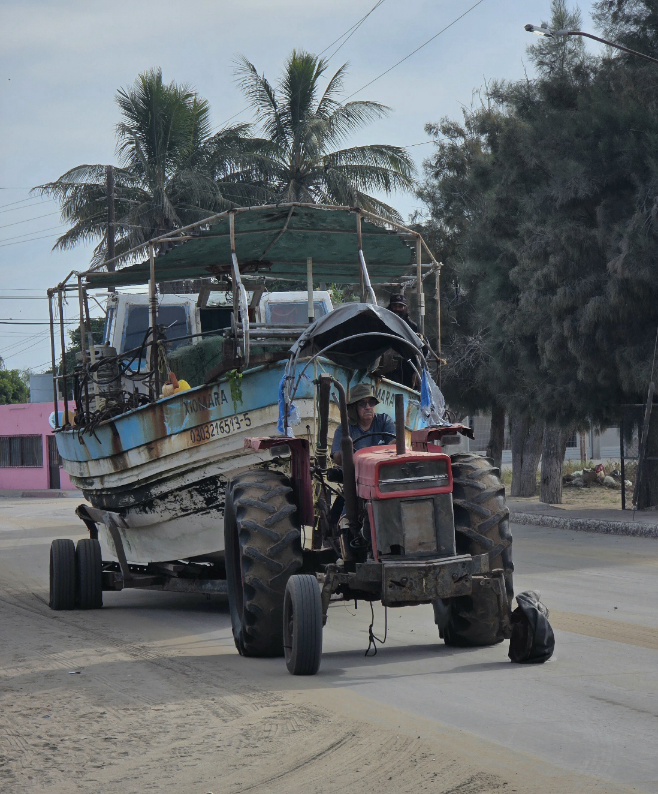 20251201_093205(1)(1).jpg - 234kB