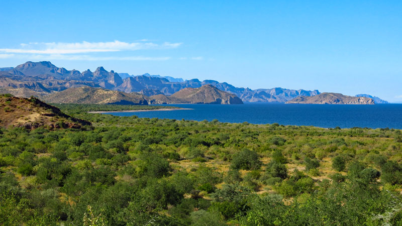 IMG_0331.JPG - 103kB