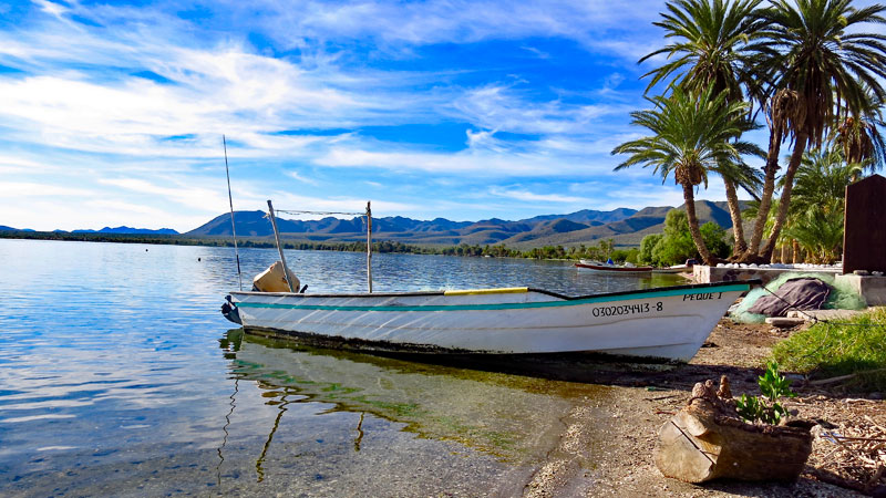 IMG_4975.JPG - 129kB