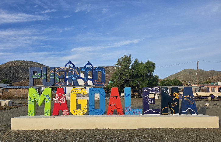 20260130_075723(1).jpg - 163kB