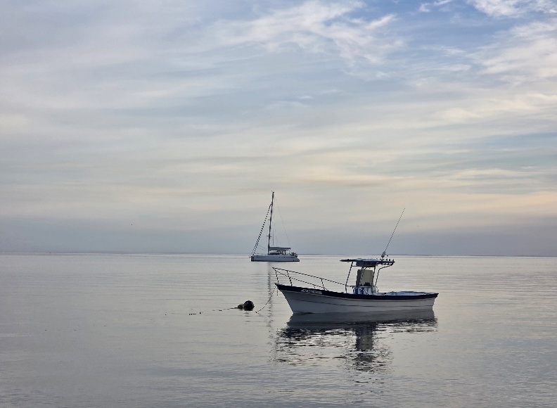 20260130_074806(1).jpg - 116kB