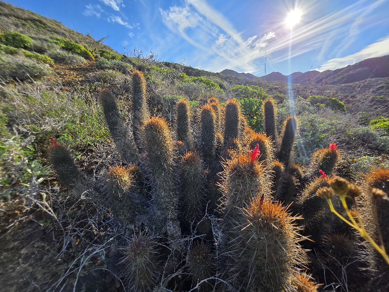 20260128_160857(1).jpg - 326kB