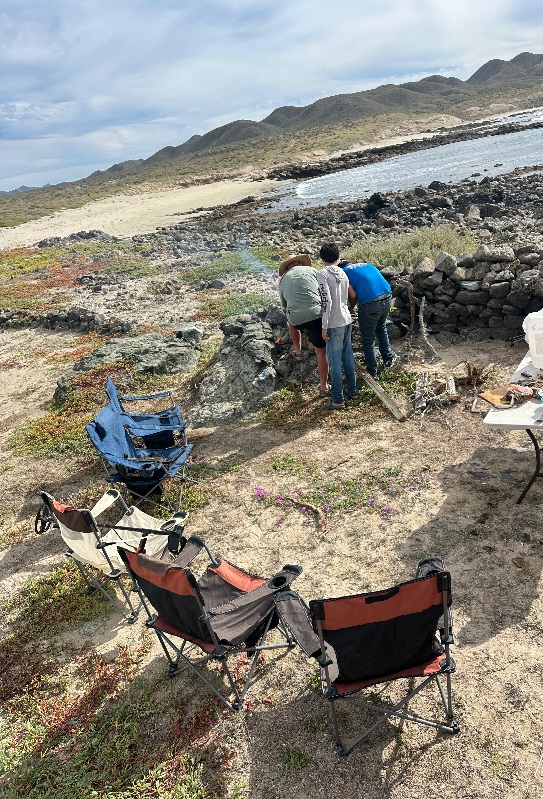 IMG-20260130-WA0017.jpg - 288kB