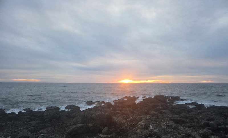 20260129_180859(1).jpg - 117kB