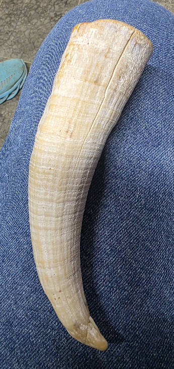 20260128_191943(1).jpg - 192kB