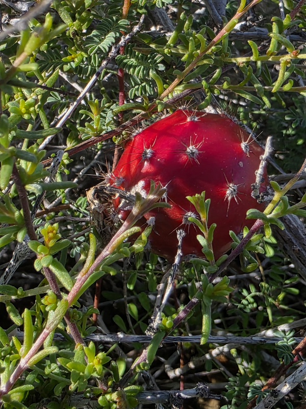 20260128_161356(1).jpg - 291kB