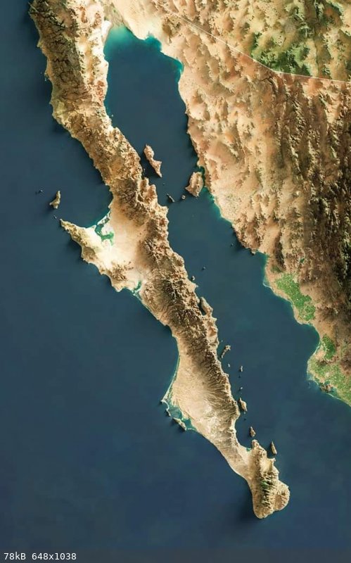 Baja relief map.jpg - 78kB