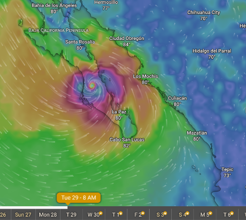 hurricane polo.png - 367kB