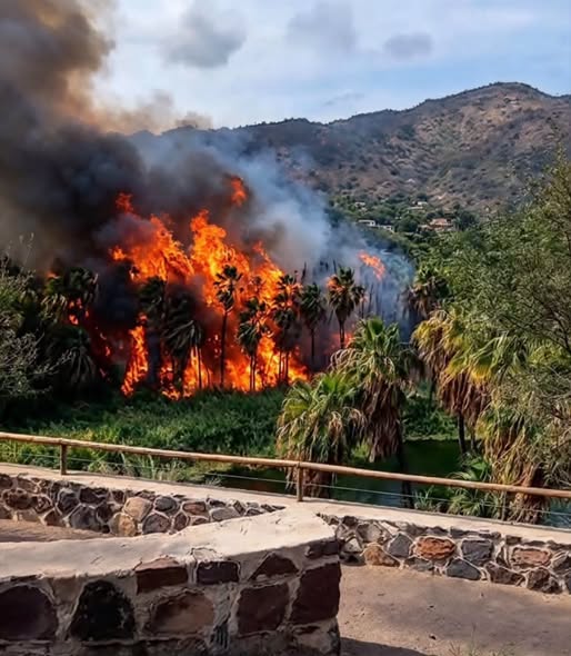 Mulege fire.jpeg - 58kB