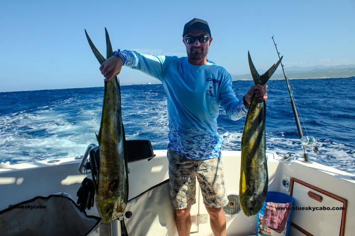 dorado-cabo-fishing-charter (1).jpg - 101kB