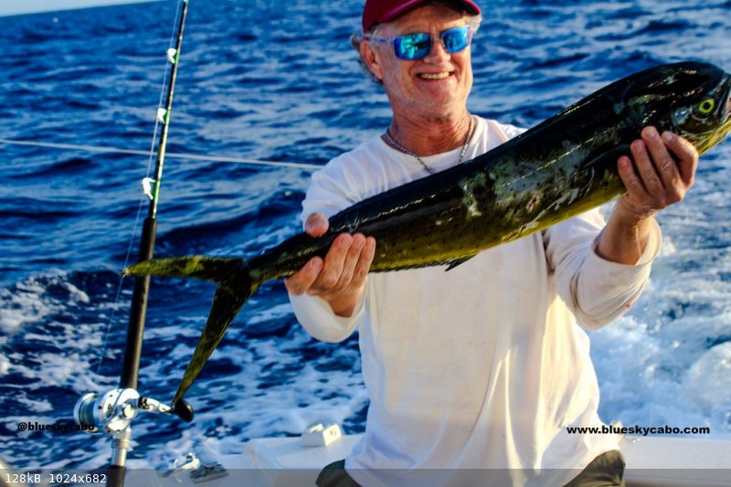 dorado-cabo-fishing-png.jpg - 128kB